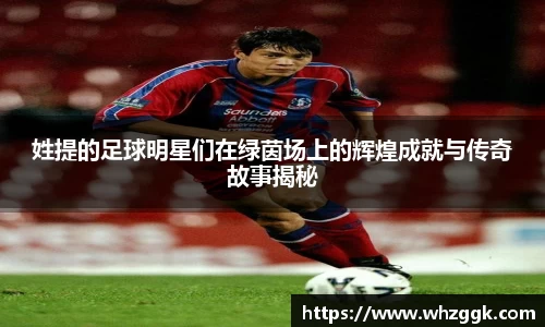 姓提的足球明星们在绿茵场上的辉煌成就与传奇故事揭秘